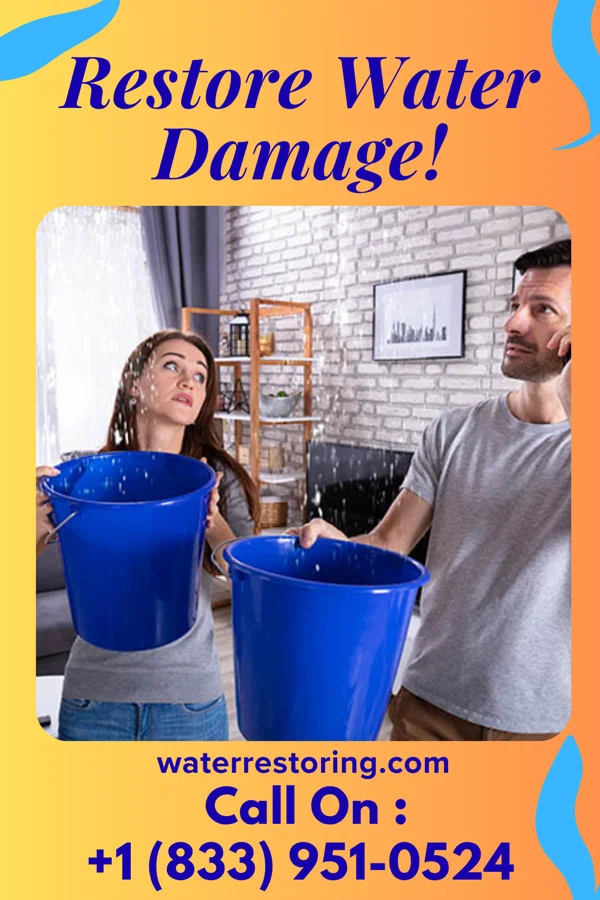 water restoration Expert Cleanup Cornlea