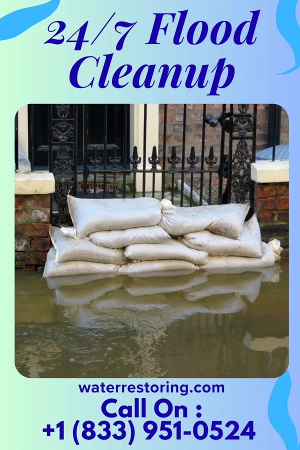24/7 Flood Cleanup in Cornlea, NE