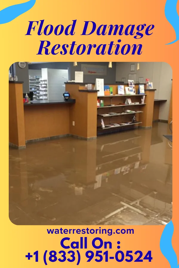 Flood Damage Restoration in Cornlea, NE