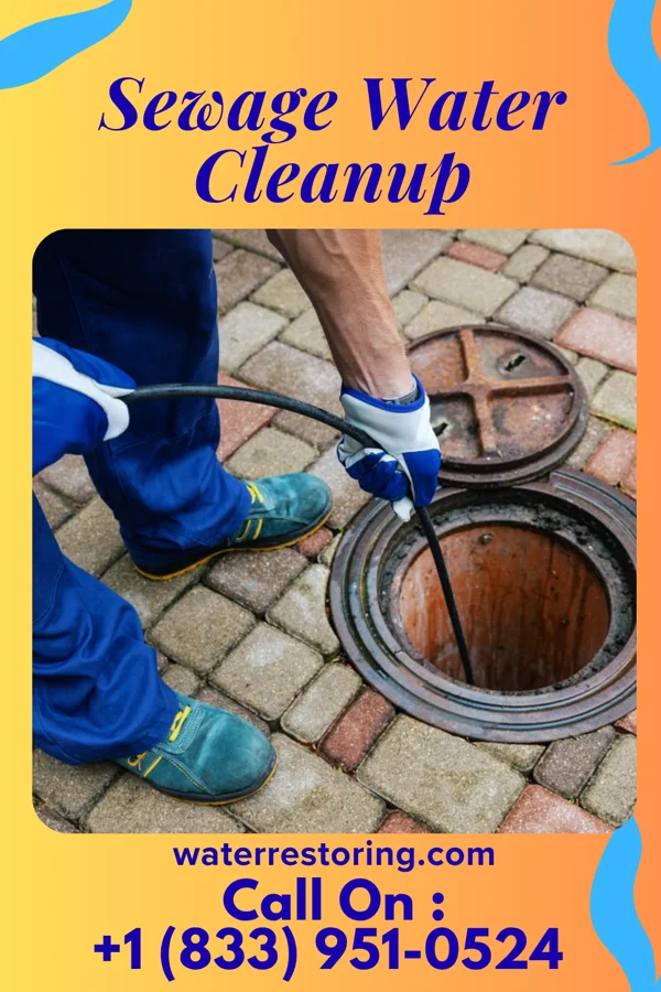 Sewage Water Cleanup in Cornlea, NE